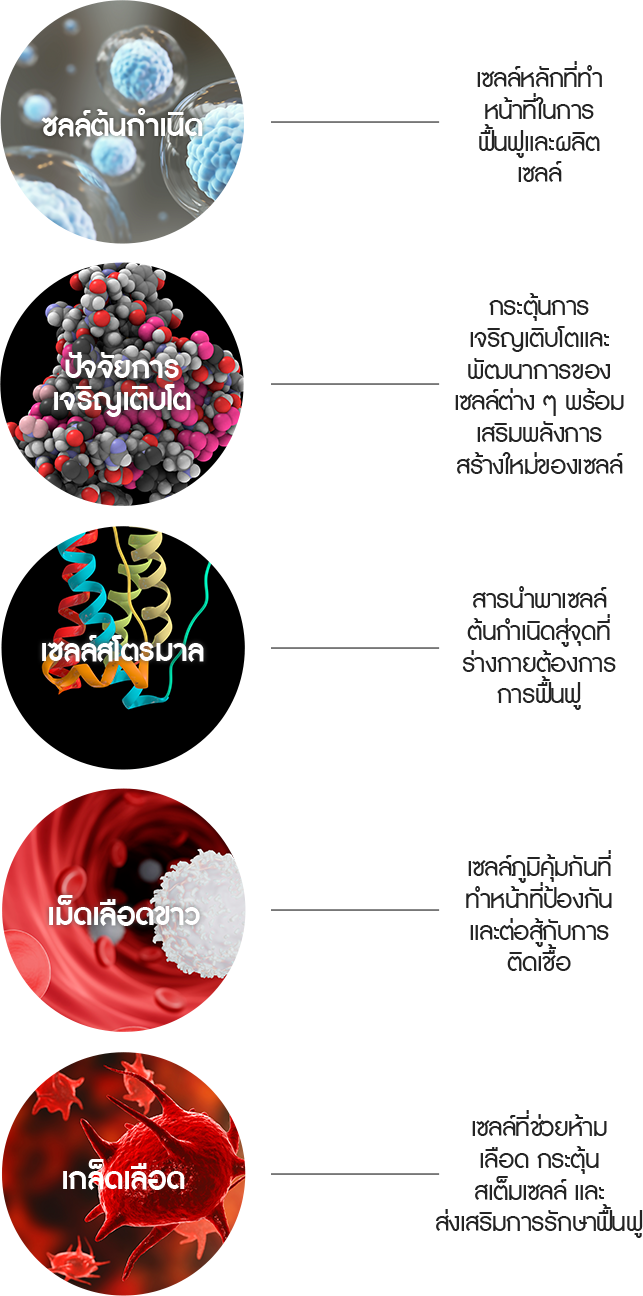 5가지 필수 재생세포 이식